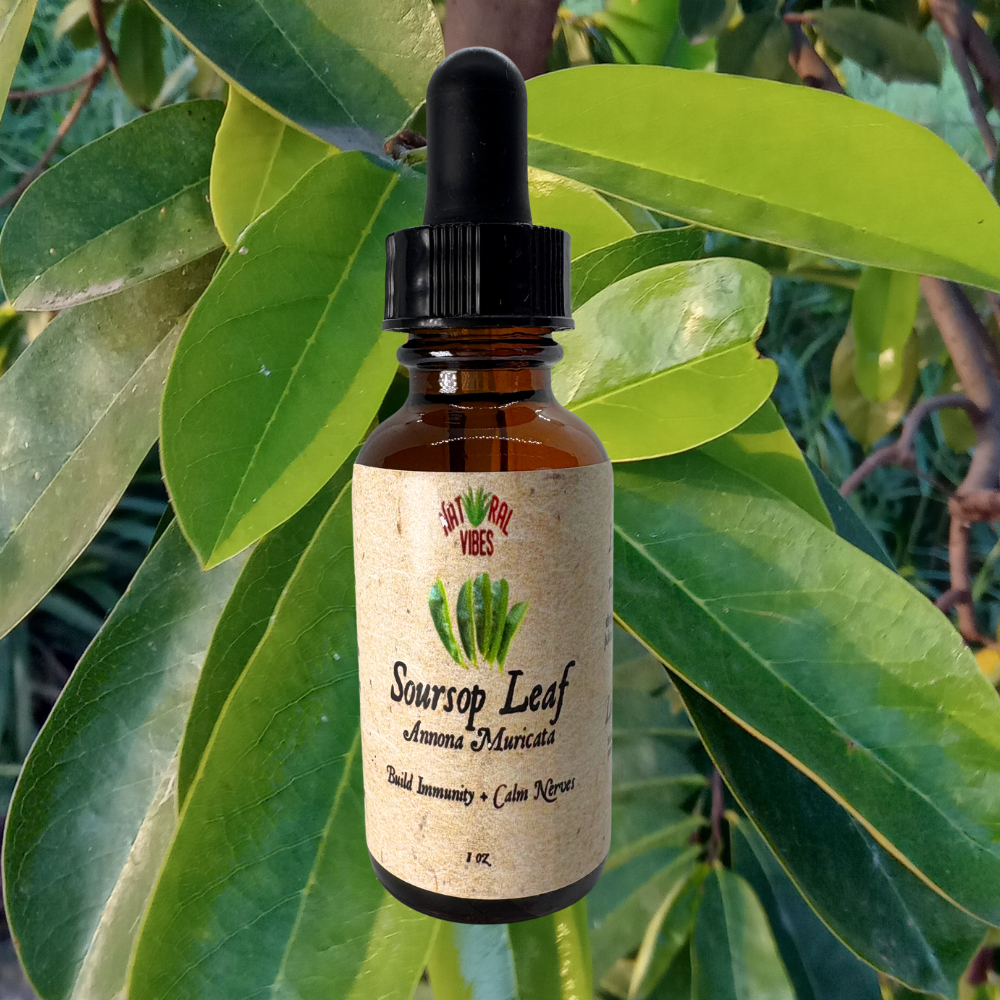 Soursop Tincture (Annona Muricata)