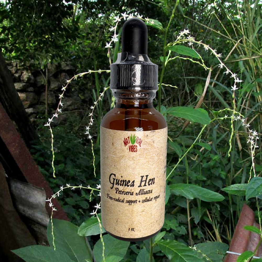Guinea Hen Tincture | Petiveria Alliacea Extract