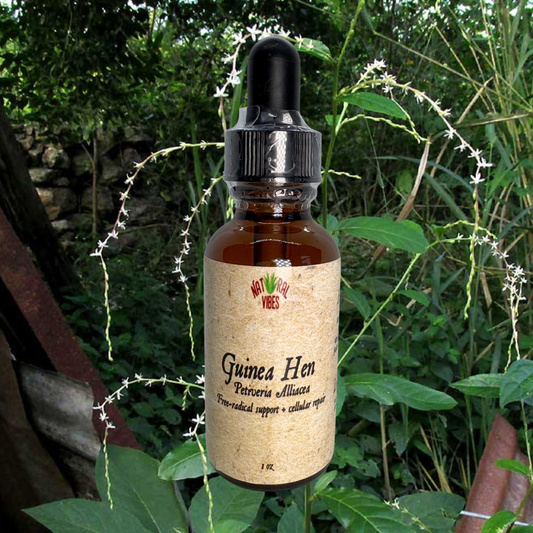 Guinea Hen Tincture | Petiveria Alliacea Extract